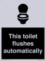 this-toilet-flushes-automatically~